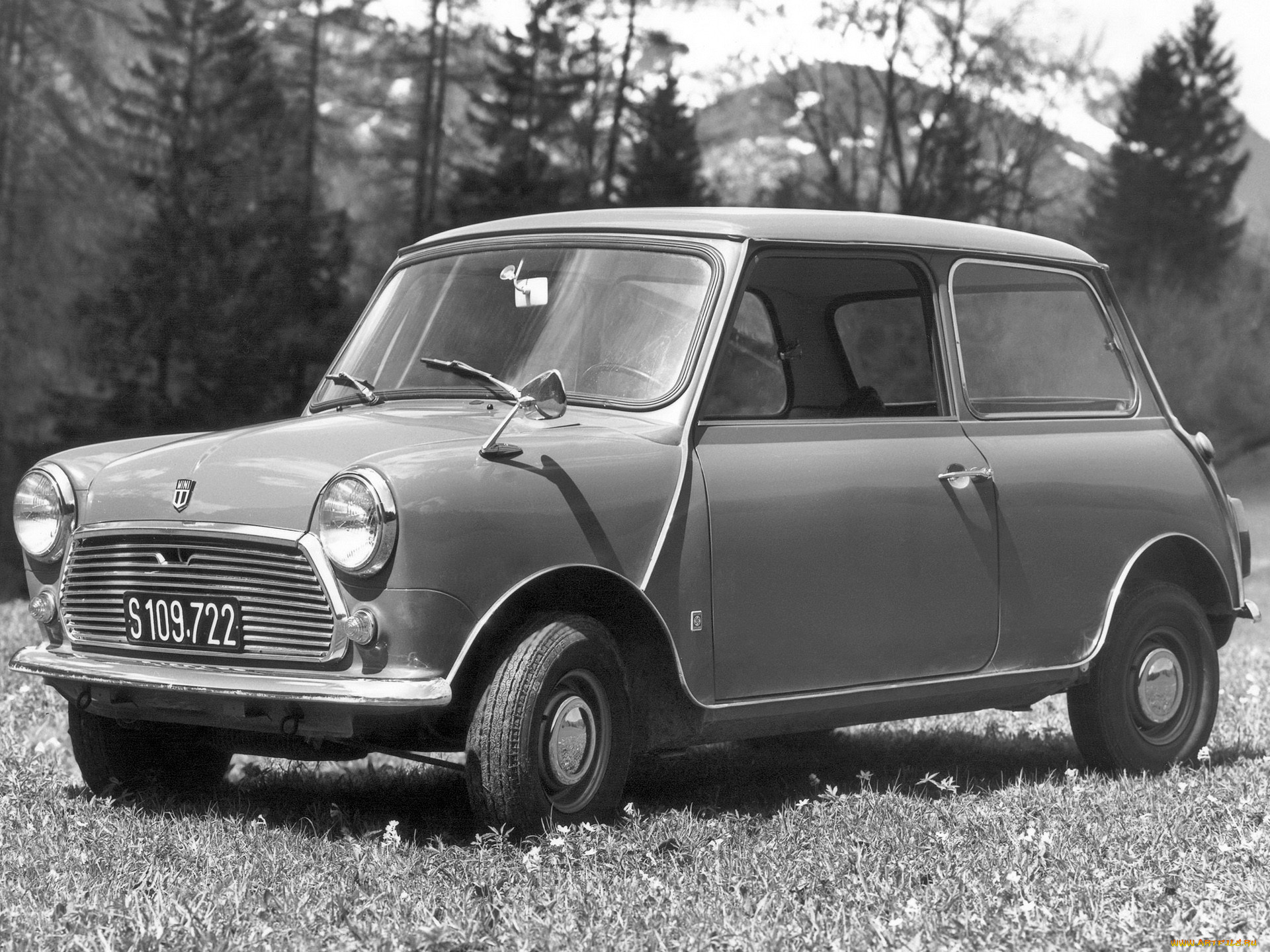 , mini